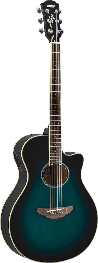 Twin Town Guitars has the Acoustic Guitars You Want!